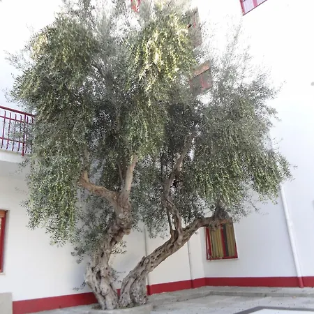 Luigiane Acquappesa